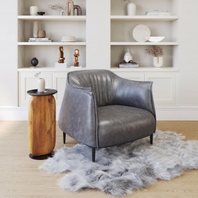 Julian Accent Chair in Gray- Lifestyle 1