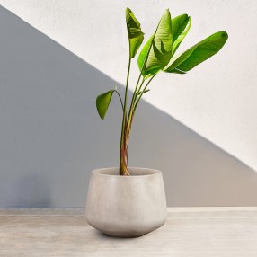 Armen Living Amethyst Large Round Lightweight Concrete Indoor Or Outdoor Planter In White