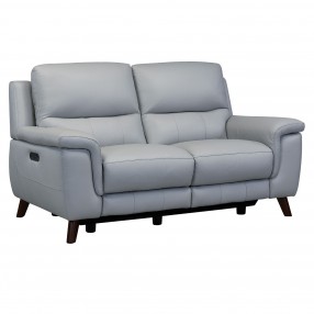 Lizette Contemporary Loveseat in Dark Brown Wood Finish and Dove Grey Genuine Leather - Angled