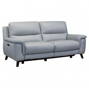 Lizette Contemporary Sofa in Dark Brown Wood Finish and Dove Grey Genuine Leather - Angled