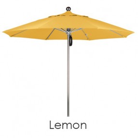 California Umbrella 9' SSteel SinglePole FGlass Ribs M Umbrella SV Anodized - Olefin
