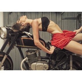 J&M Furniture Acrylic Wall Art Motorcycle Woman