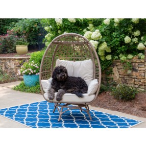 Tortuga Outdoor Rio Vista Outdoor Wicker Egg Chair With Legs And Swivel Base