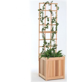 All Things Cedar 2pc. Planter with Trellis