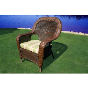 Tortuga Outdoor Sea Pines Resin Wicker Dining Chair