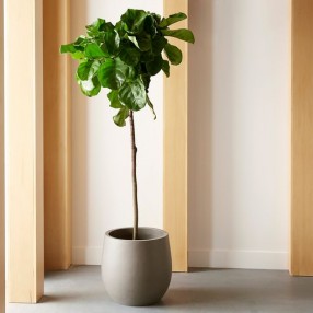 Sunpan Rosen Planter - Lifestyle