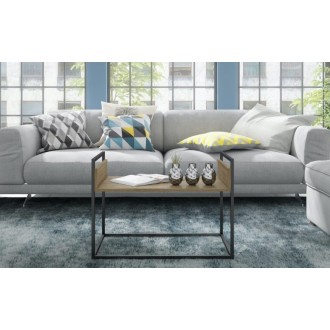 Ellis 27.76" Coffee Table in Dark Oak and Black