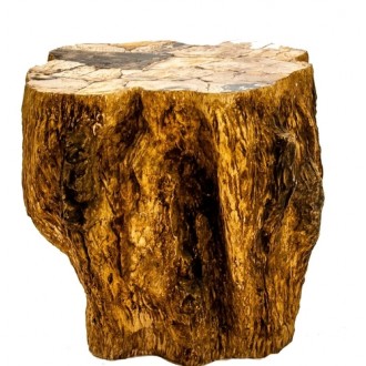 Stilnovo Good Form Petrified Wood Side Table (oggetti)