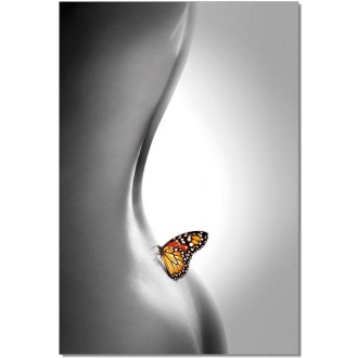J&M Furniture Acrylic Wall Art Butterfly | SB-61336C
