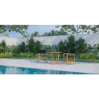 Hi Teak Furniture Direceur Teak Folding Outdoor Dining Armchair in Black - Lifestyle