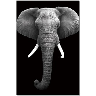 J&M Furniture Acrylic Wall Art Elephant | SB-61130 