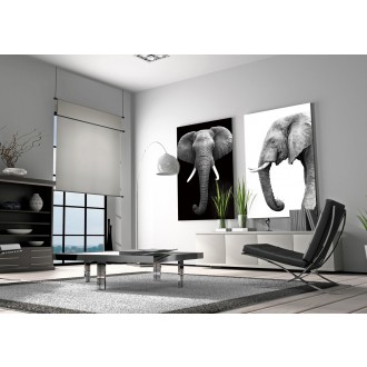 J&M Furniture Acrylic Wall Art Tusk | SB-61131 