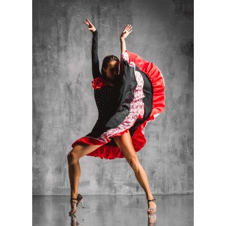 J&M Furniture Acrylic Wall Art Flamenco 