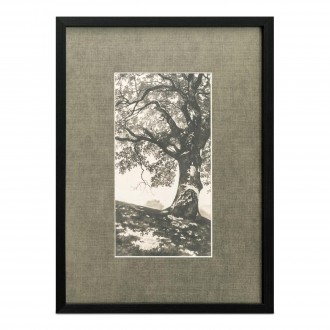 Moe's Home Collection Arise Framed Print
