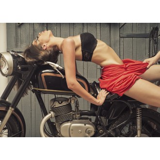 J&M Furniture Acrylic Wall Art Motorcycle Woman