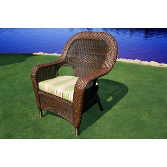 Tortuga Outdoor Sea Pines Resin Wicker Dining Chair