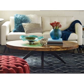 Moe's Home Collection Parq Oval Coffee Table - Amber - Lifestyle