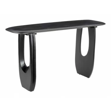 Zuo Modern Zuo Modern Arasan Console Table in Black - Side Angled