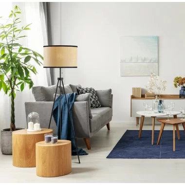 Adesso Raven Floor Lamp