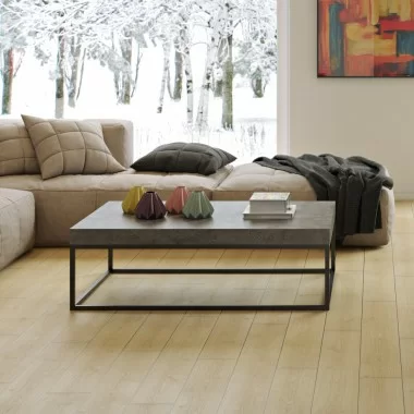 TemaHome Petra 47x30 Coffee Table - Lifestyle