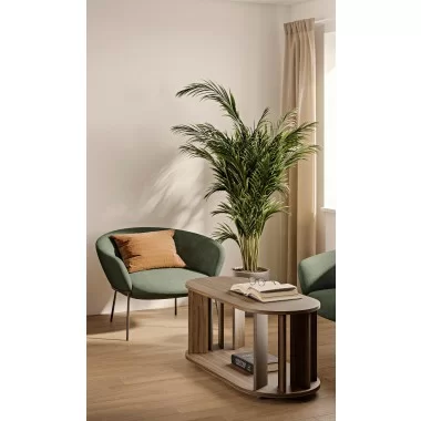 TemaHome Nora Coffee Table in Walnut - Lifestyle