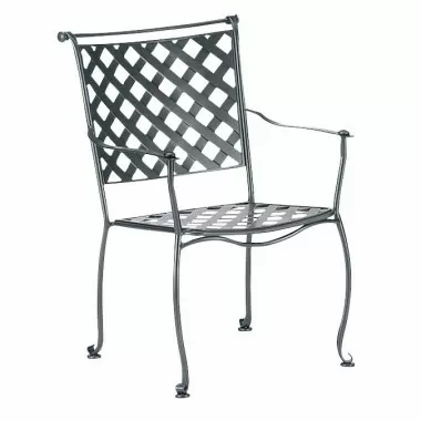 Woodard Et Cetera Maddox Dining Arm Chair with Optional Cushion