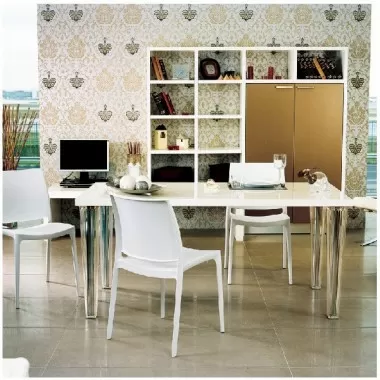 Compamia Maya Dining Chair White - Set of 2