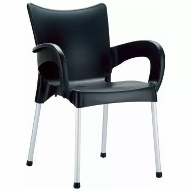 Compamia Romeo Resin Dining Arm Chair Black - Set of 2
