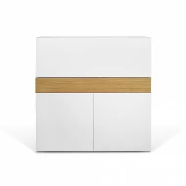 TemaHome Focus Workstation