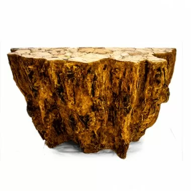 Stilnovo Rock Petrified Wood Console Table