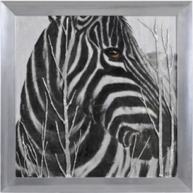 Ren-Wil Burchell's Zebra