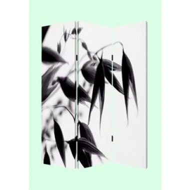 Screen Gems Lily Screen