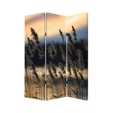 Screen Gems Whisper Reed Screen