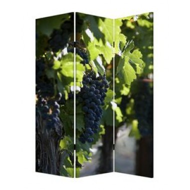 Screen Gems Wine Country Screen