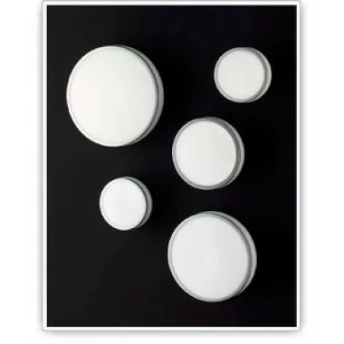 Tango Lighting Carpyen Jacky Wall/Ceiling Light