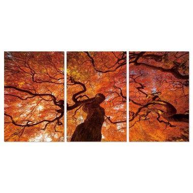 J&M Furniture Acrylic Wall Art Oak