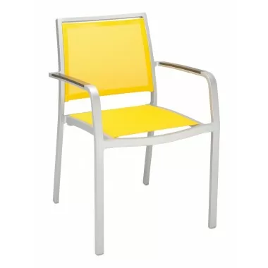 Aluminum Arm Chair with Silver Frame - Mango
