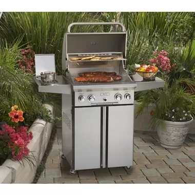 American Outdoor Grill 24" Portable Gas Grill