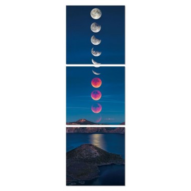 Eclipse 28 X 28 Each Piece Acrylic Color Painting