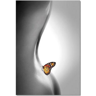 J&M Furniture Acrylic Wall Art Butterfly | SB-61336C