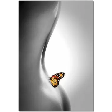 J&M Furniture Acrylic Wall Art Butterfly | SB-61336C