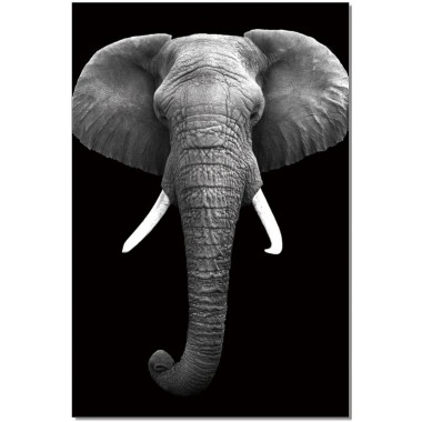 J&M Furniture Acrylic Wall Art Elephant | SB-61130 