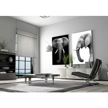 J&M Furniture Acrylic Wall Art Tusk | SB-61131 