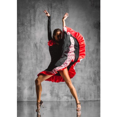J&M Furniture Acrylic Wall Art Flamenco 