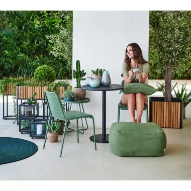 Cane-Line Combine Planter 