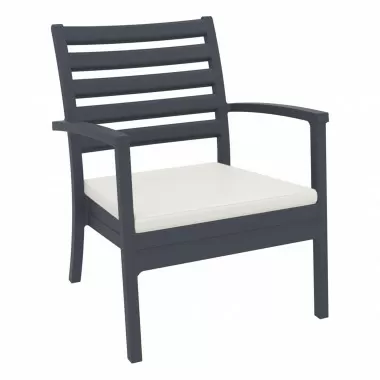 Compamia Artemis XL Club Chair - Set of Two in Dark Gray with Sunbrella® Seat Cushion in Natural - Agled