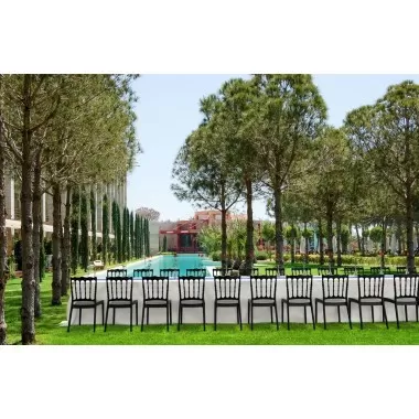 Compamia Napoleon Dining Chair - Set of 2