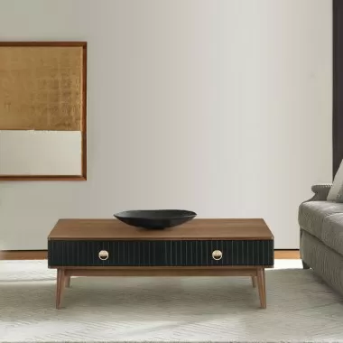 Armen Living Amigo Black Veneer and Walnut Wood Coffee Table