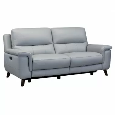 Armen Living Lizette Contemporary Sofa in Dark Brown Wood Finish and Dove Gray Genuine Leather Side