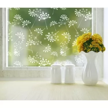 Odhams Press Dandelion Privacy Adhesive Window Film